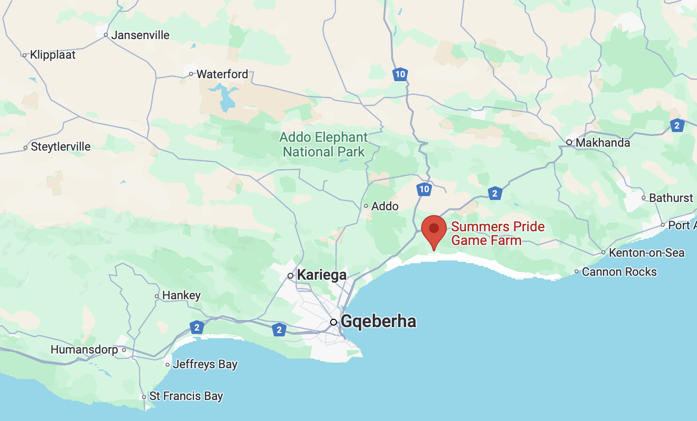 Google Maps